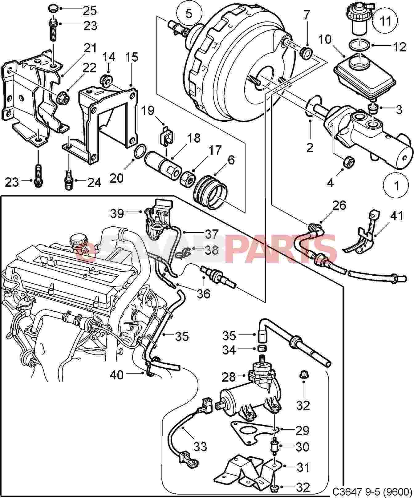  9136243 SAAB Vacuum Hose Saab Parts From ESaabParts